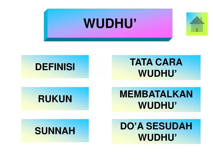 wudhu