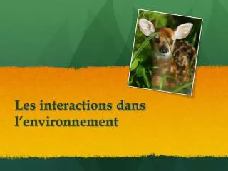 les interactions dans l environnement