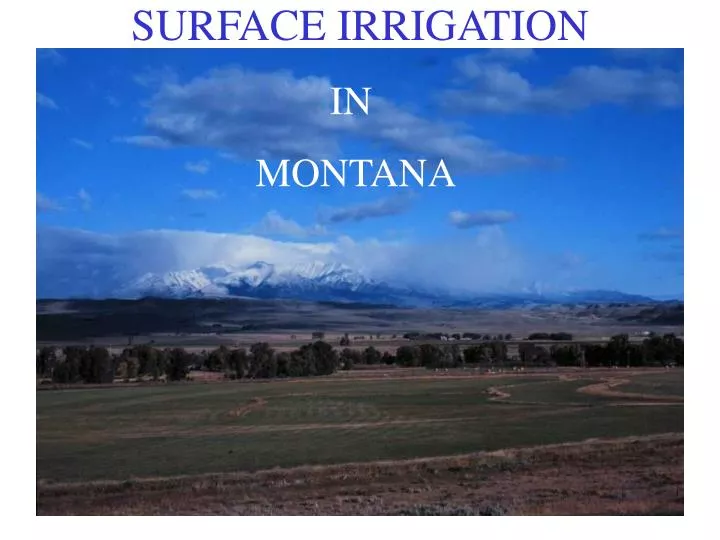 surface irrigation