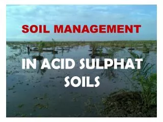 soil management