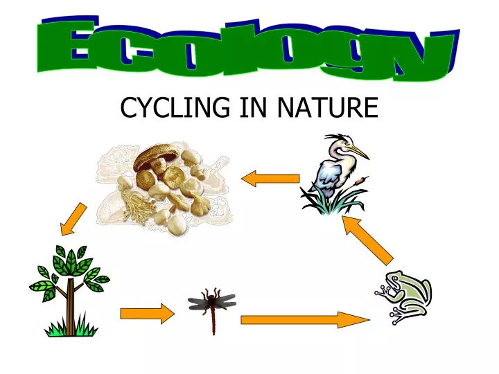 cycling in nature