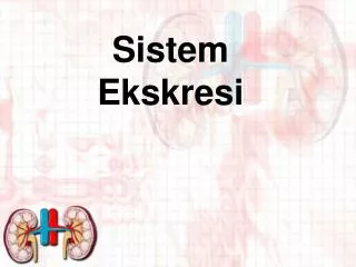 sistem ekskresi