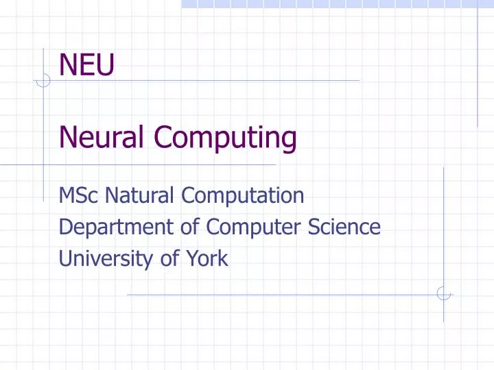 neu neural computing
