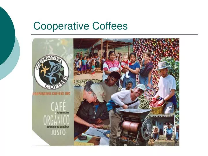 cooperative coffees