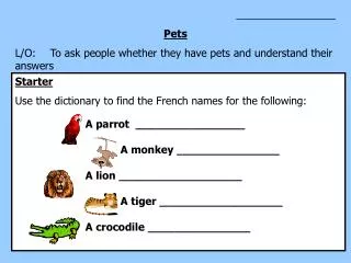 _________________ Pets L/O:	To ask people whether they have pets and understand their answers