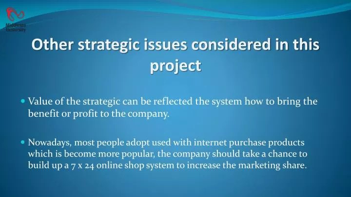 other strategic issues considered in this project