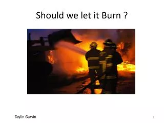 Should we let it Burn ?
