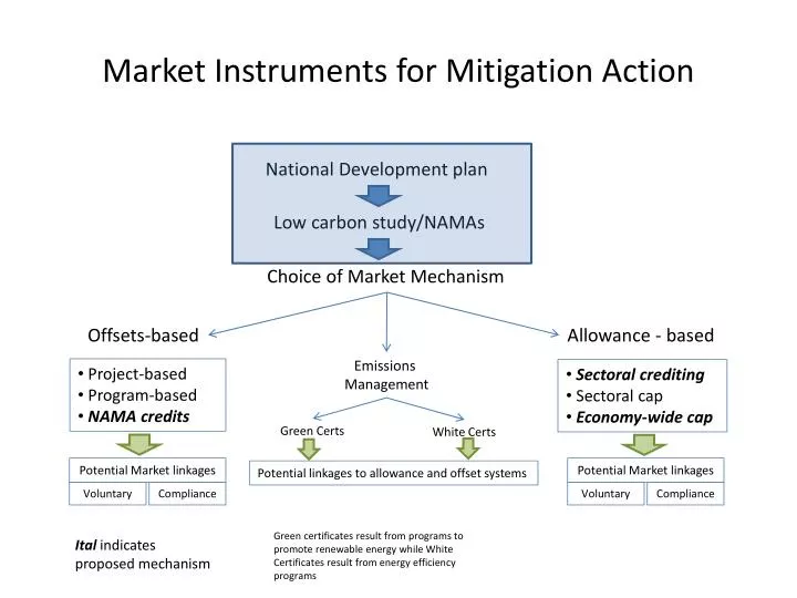 market instruments for mitigation action