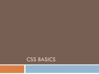 Css Basics