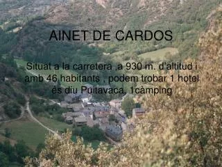 ainet de cardos