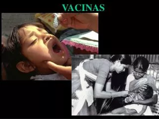 vacinas