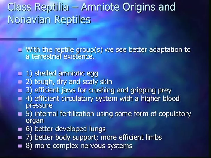 class reptilia amniote origins and nonavian reptiles