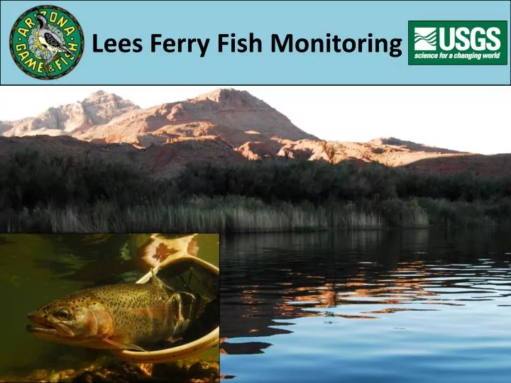 lees ferry fish monitoring