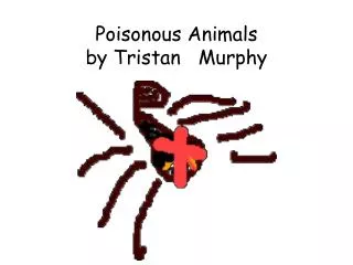 Poisonous Animals by Tristan Murphy