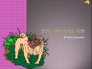 Dog training job