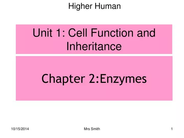 chapter 2 enzymes
