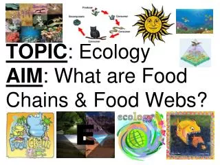 TOPIC : Ecology AIM : What are Food Chains &amp; Food Webs?