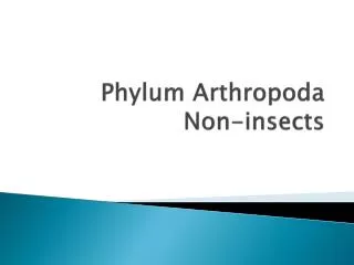 Phylum Arthropoda Non-insects