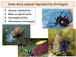 Some more unusual reproductive strategies