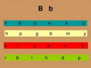 PPT - (B) Organogram PowerPoint Presentation, Free Download - ID:1560915