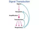 Signal Transduction - slide 1