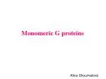 Monomeric G proteins - slide 1
