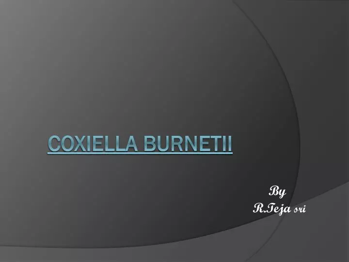 coxiella burnetii
