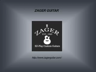 Acoustic Electric Guitar at Zagerguitar