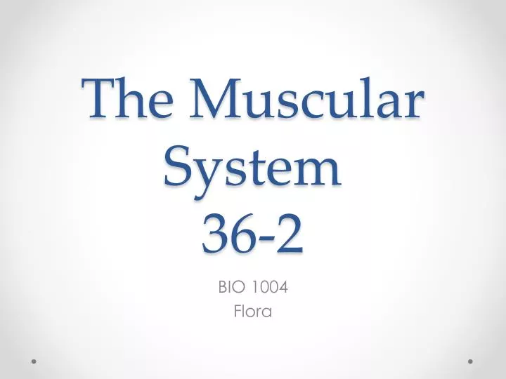 the muscular system 36 2