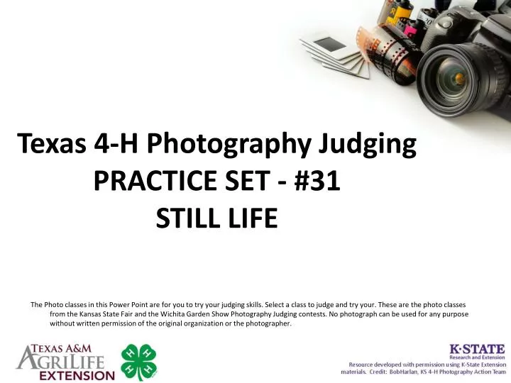 texas 4 h photography judging practice set 31 still life