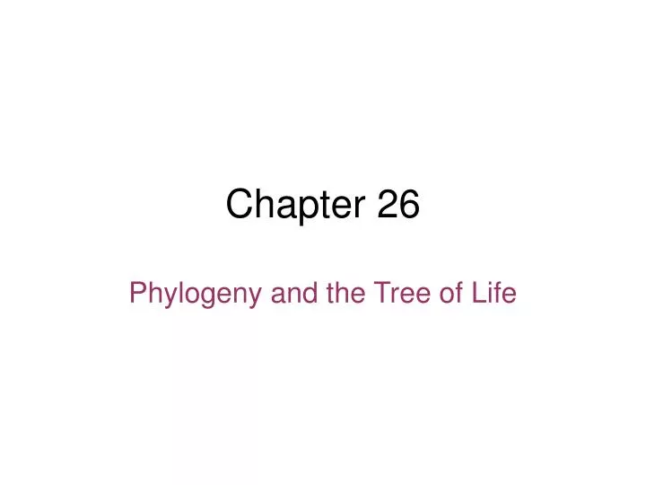 chapter 26