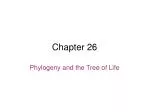 Chapter 26 - slide 1