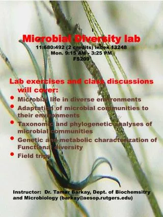Microbial Diversity lab 11:680:492 (2 credits) index 13248 Mon. 9:15 AM - 3:25 PM FS209