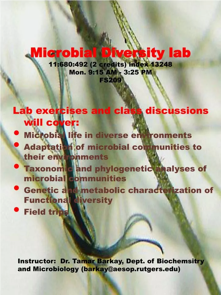 microbial diversity lab 11 680 492 2 credits index 13248 mon 9 15 am 3 25 pm fs209