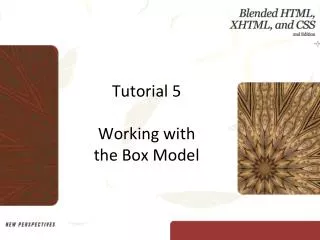 Tutorial 5 Working with the Box Model