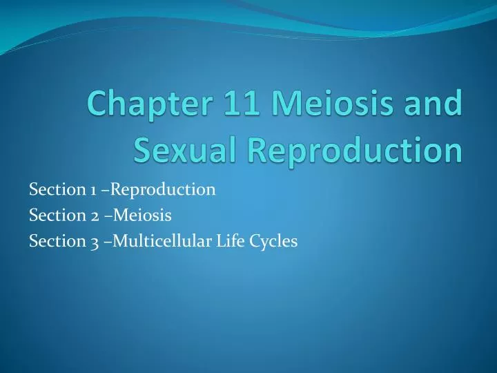 chapter 11 meiosis and sexual reproduction