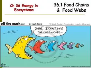 Ch 36 Energy in Ecosystems