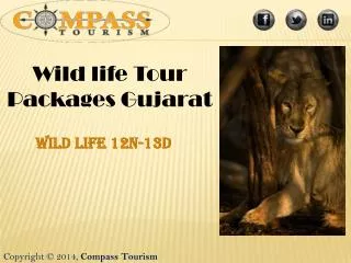 Wild life tour packages in Gujarat