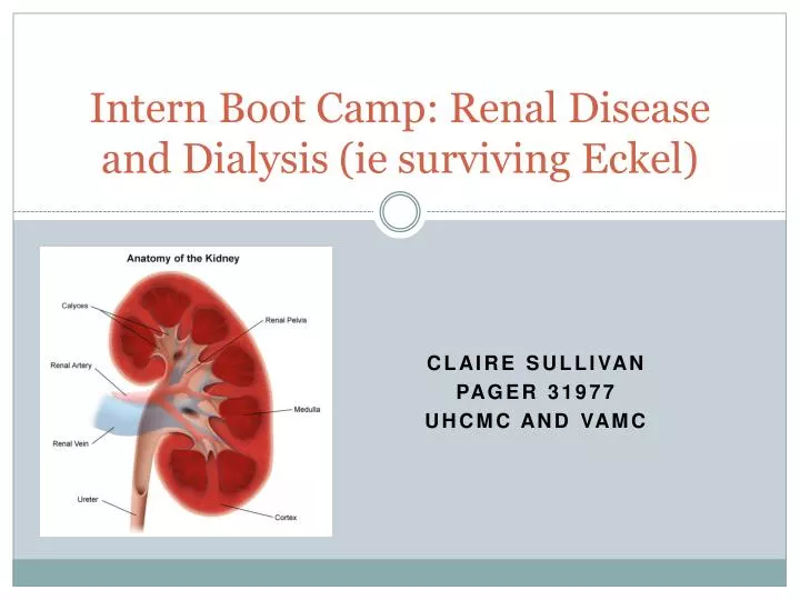 intern boot camp renal disease and dialysis ie surviving eckel