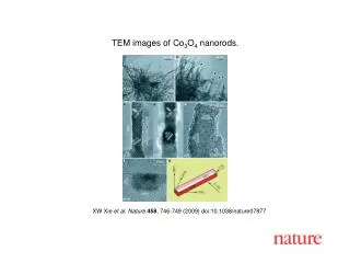 XW Xie et al. Nature 458 , 746-749 (2009) doi:10.1038/nature07877