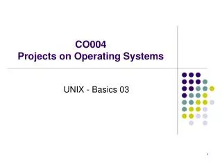 CO004 Projects on Operating Systems