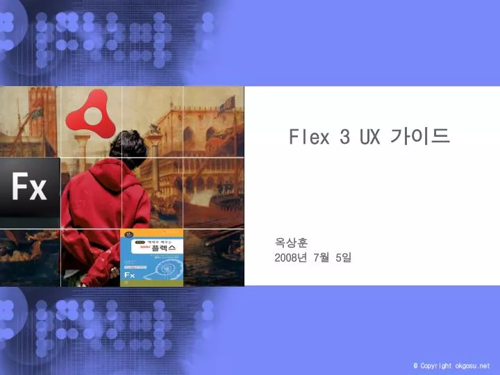 flex 3 ux