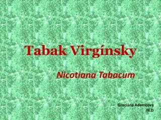 tabak virg nsky