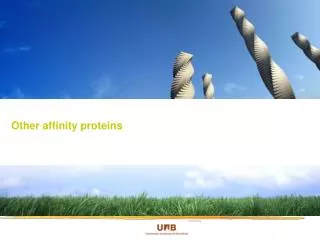 Other affinity proteins