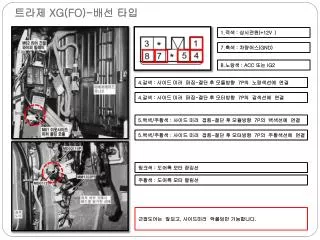 xg fo