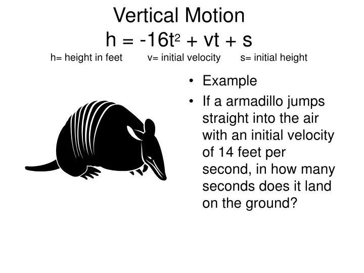 vertical motion h 16t 2 vt s h height in feet v initial velocity s initial height