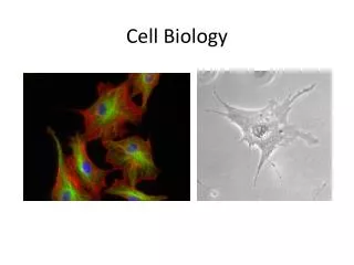 Cell Biology