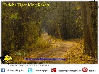 Resorts in Tadoba | Hotels in Tadoba