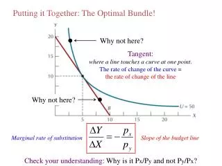 Putting it Together: The Optimal Bundle!