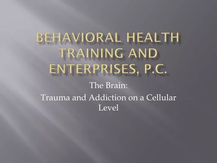 behavioral health training and enterprises p c